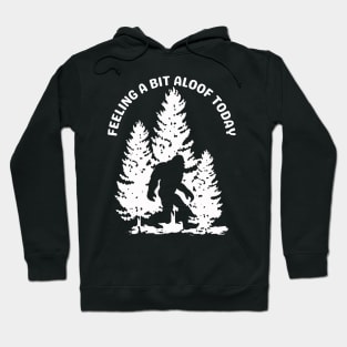 Bigfoot Feeling A Bit Aloof Today Hoodie